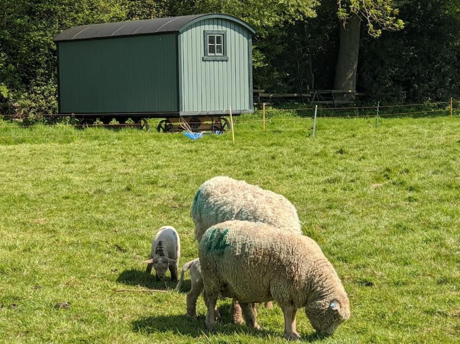 Vila The Piggery Cowfold Exteriér fotografie